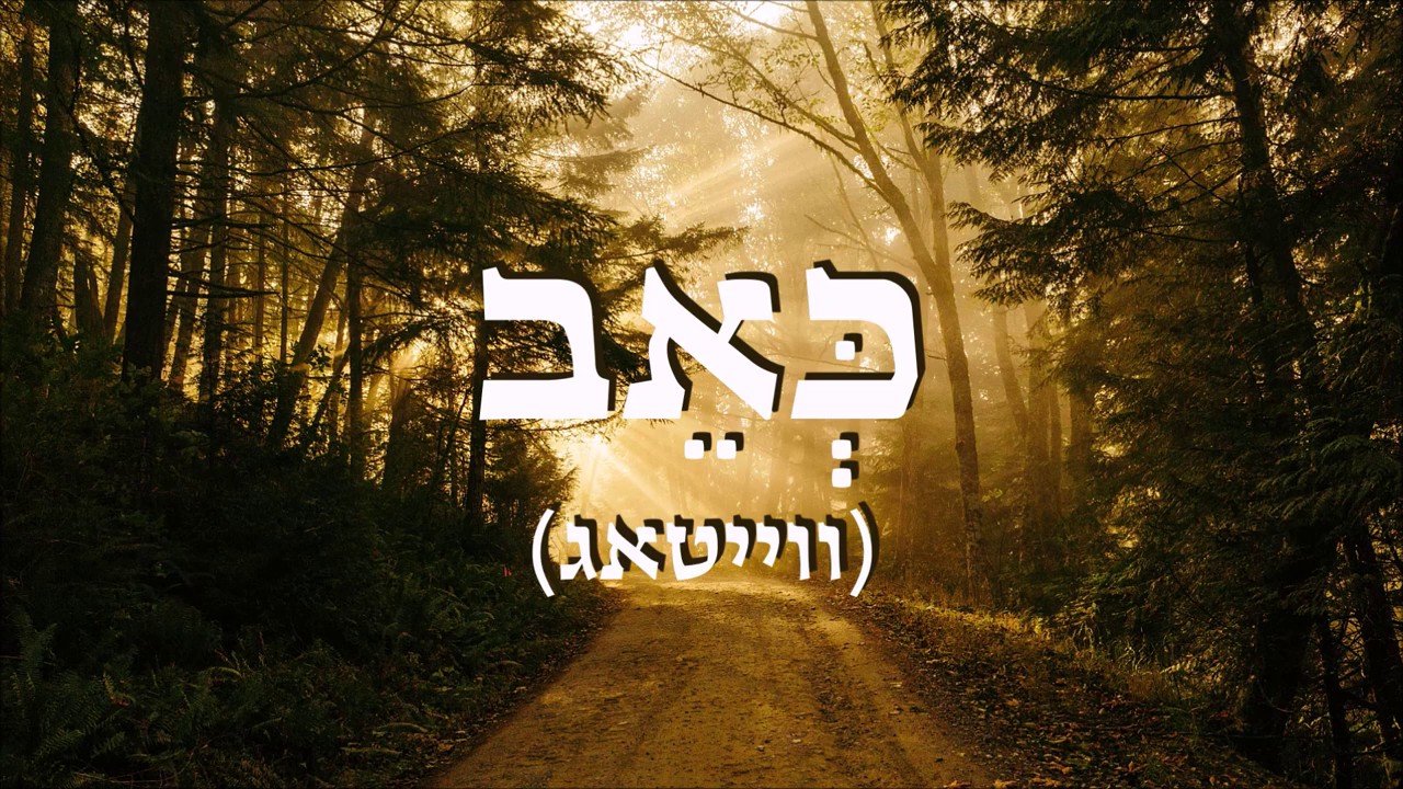 מוטי אילוביץ - ווייטאג