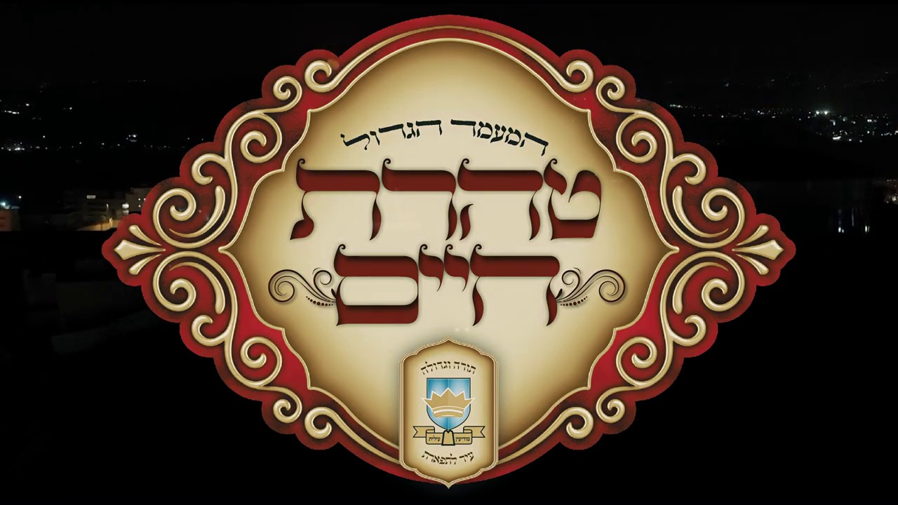 משה וינטרוב, מקהלת מלכות, תזמורת המנגנים - טיהר ר' חיים עצמו & ניגון מרן שר התורה
