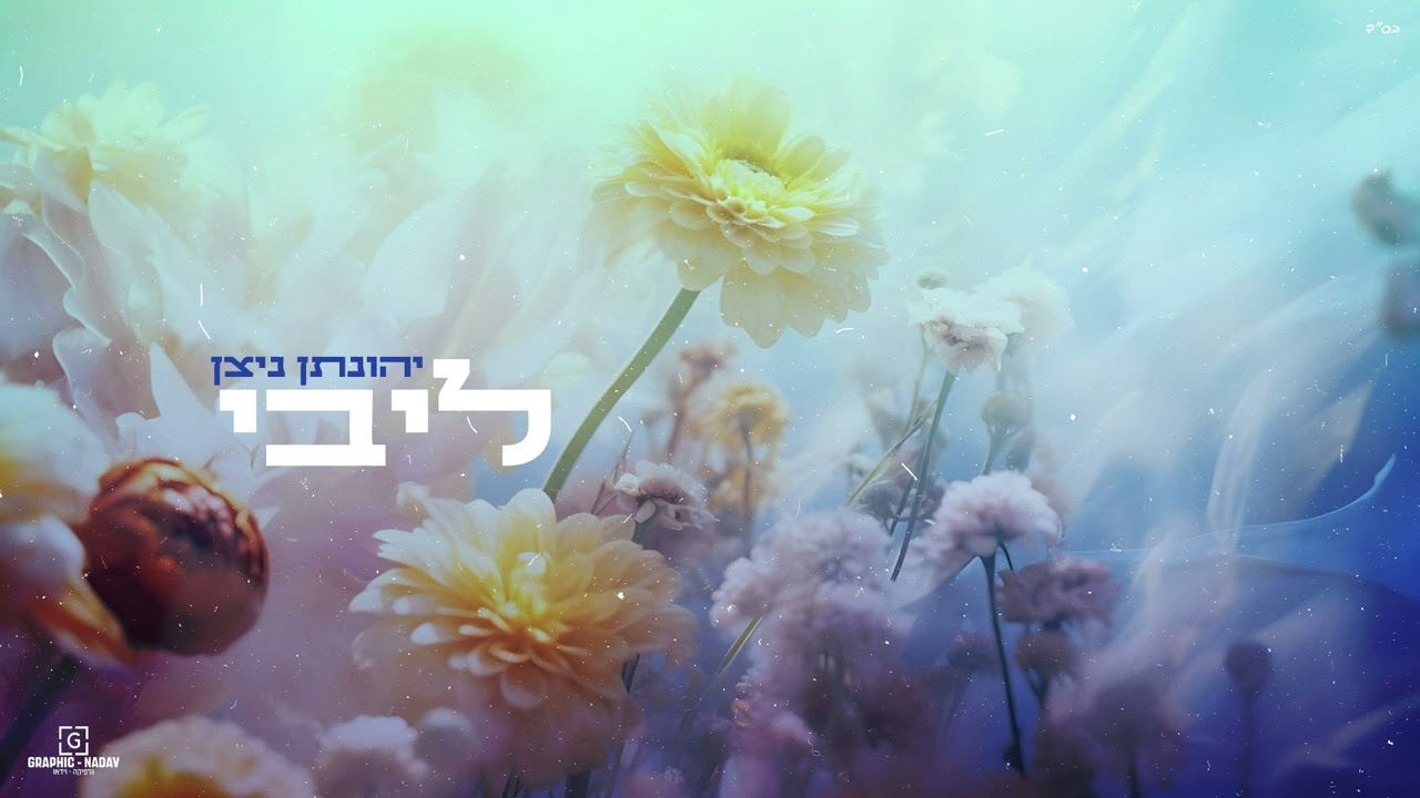 יהונתן ניצן - ליבי