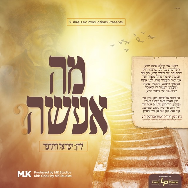 ישראל וויגדער - מה אעשה