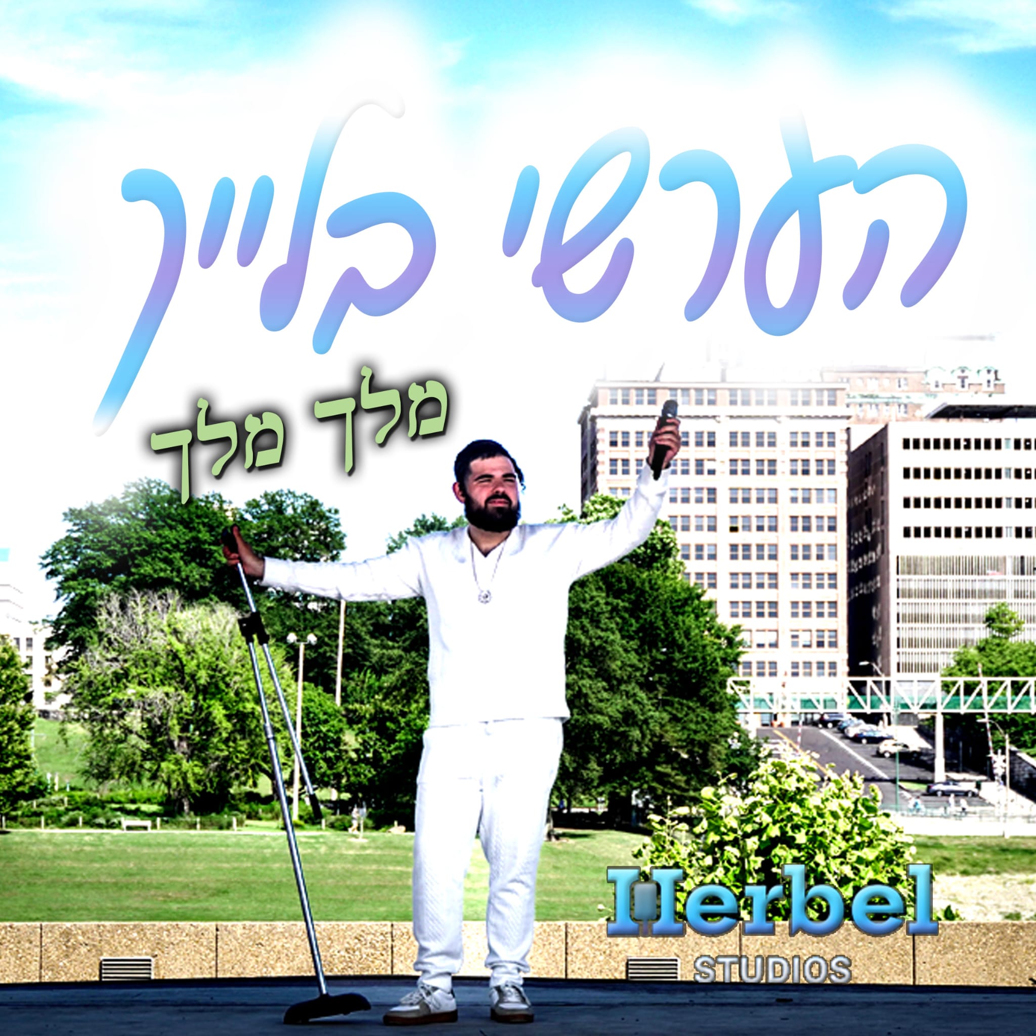 הערשי בלייך - מלך מלך