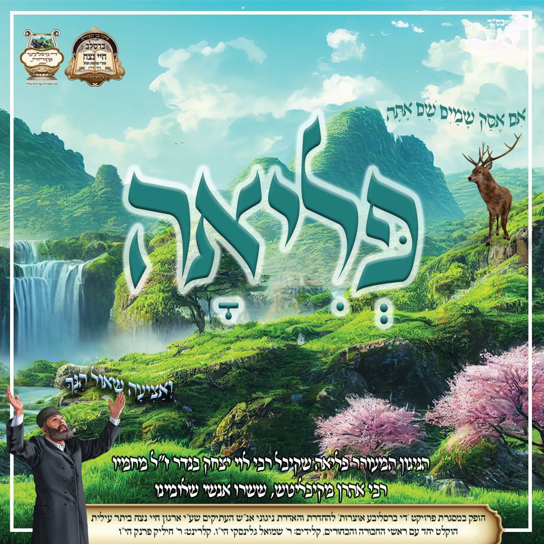 ברסלב - פליאה