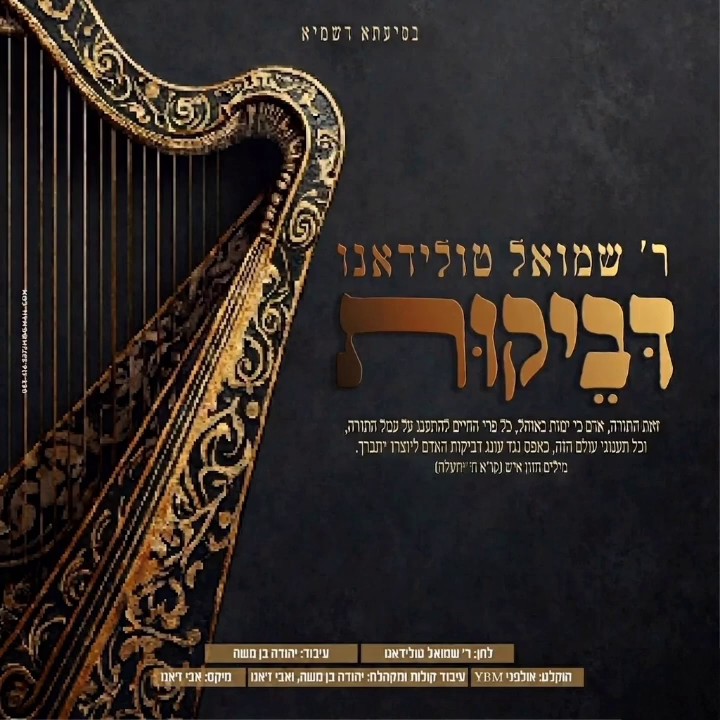 שמואל טולידאנו - דביקות