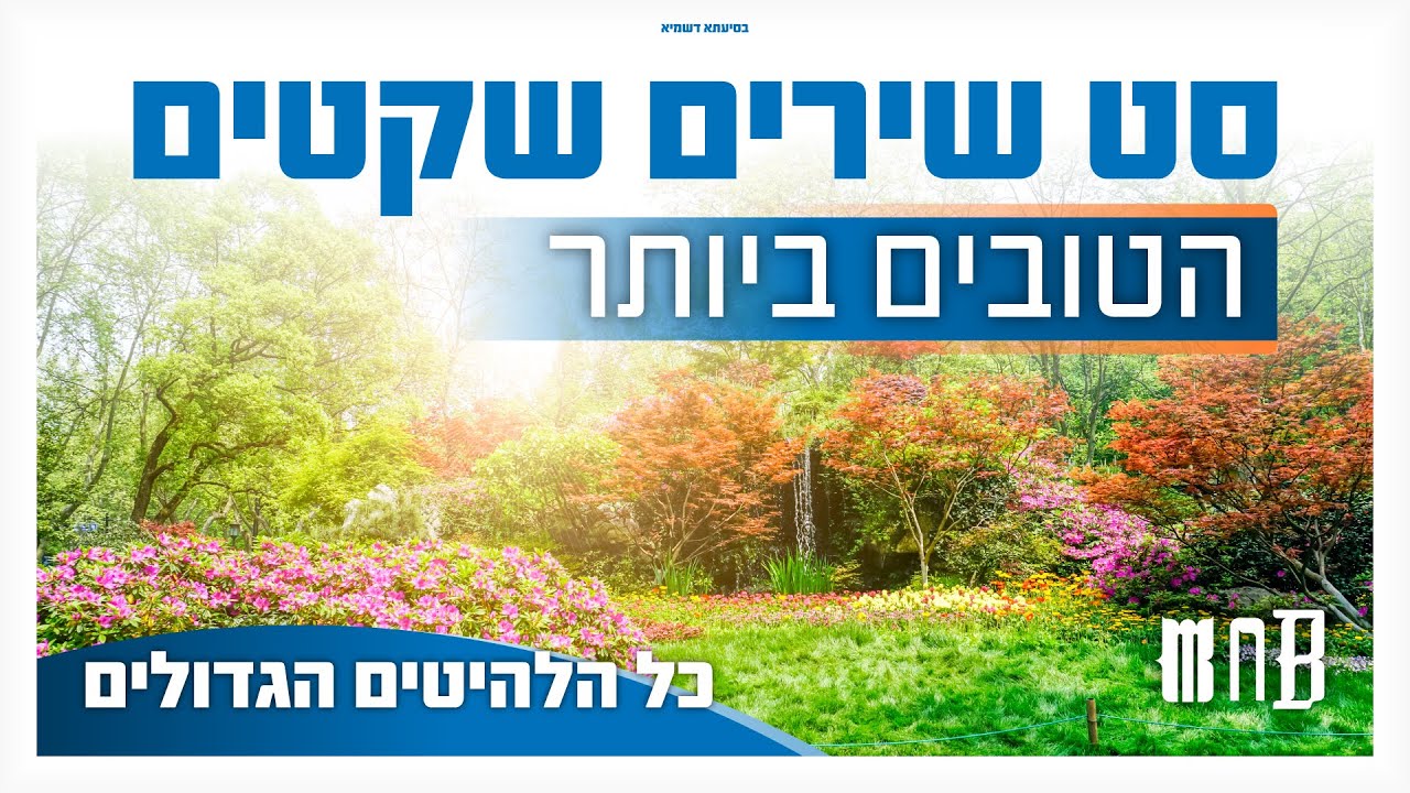 סט שירים שקטים - הטובים ביותר