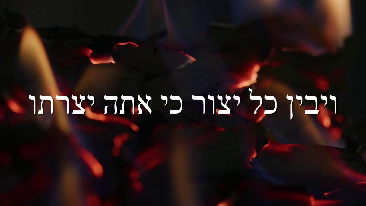 דוד מ. ברוינשטיין - ויבין כל יצור כי אתה יצרתו