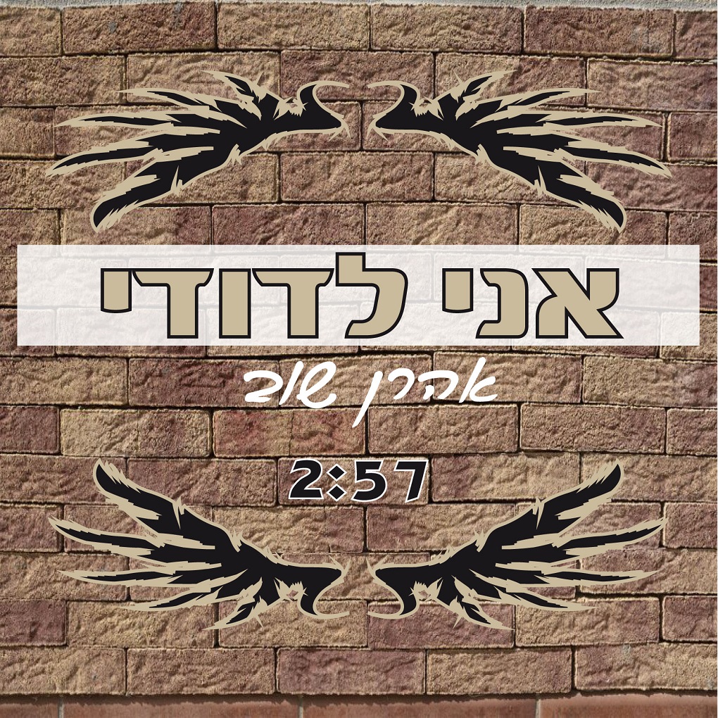 אהרן שוב - אני לדודי