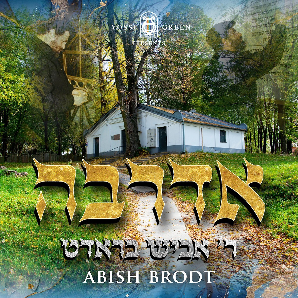 אביש בראדט - אדרבה
