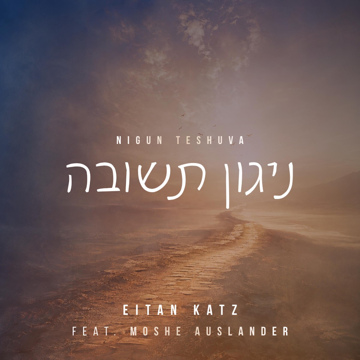 איתן כץ & משה אוסלנדר - ניגון תשובה
