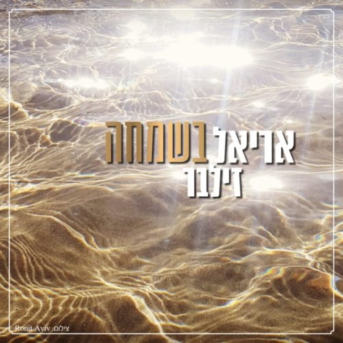 אריאל זילבר - בשמחה