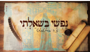 זיו ברייטברט - נפשי בשאלתי