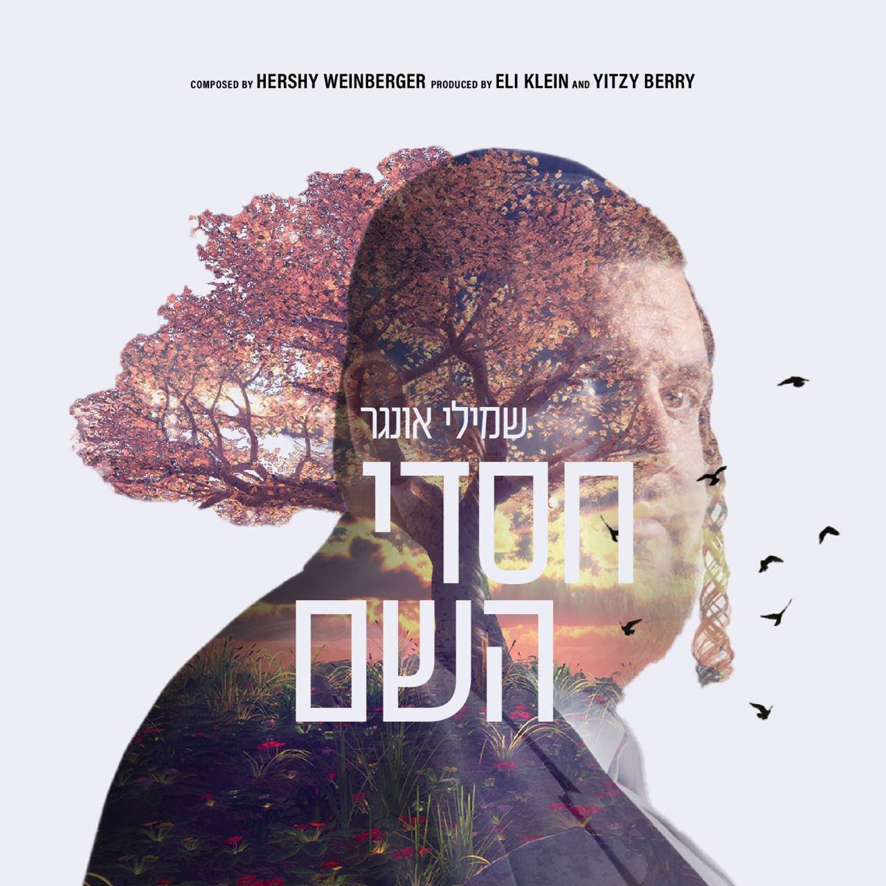 שמילי אונגר - חסדי השם