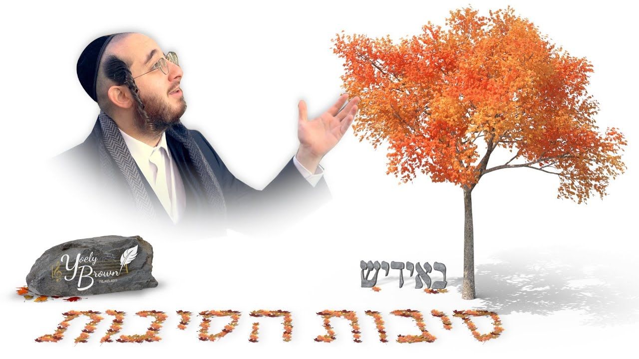 יואלי ברוין - סיבת הסיבות