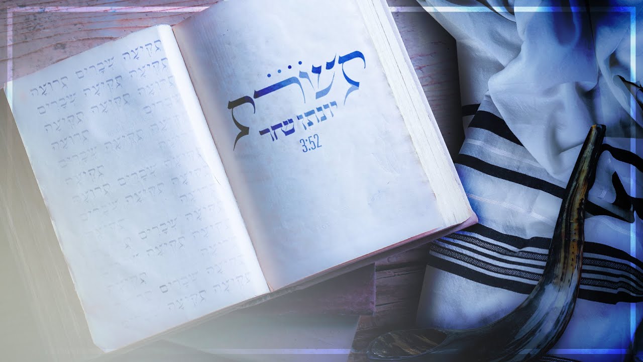 יונתן שחר - תשרת