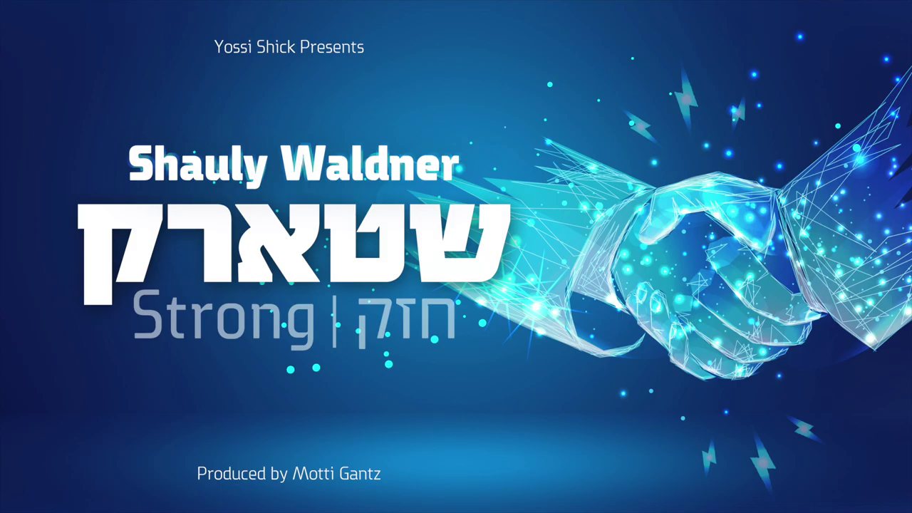 שאולי וולדנר - שטארק