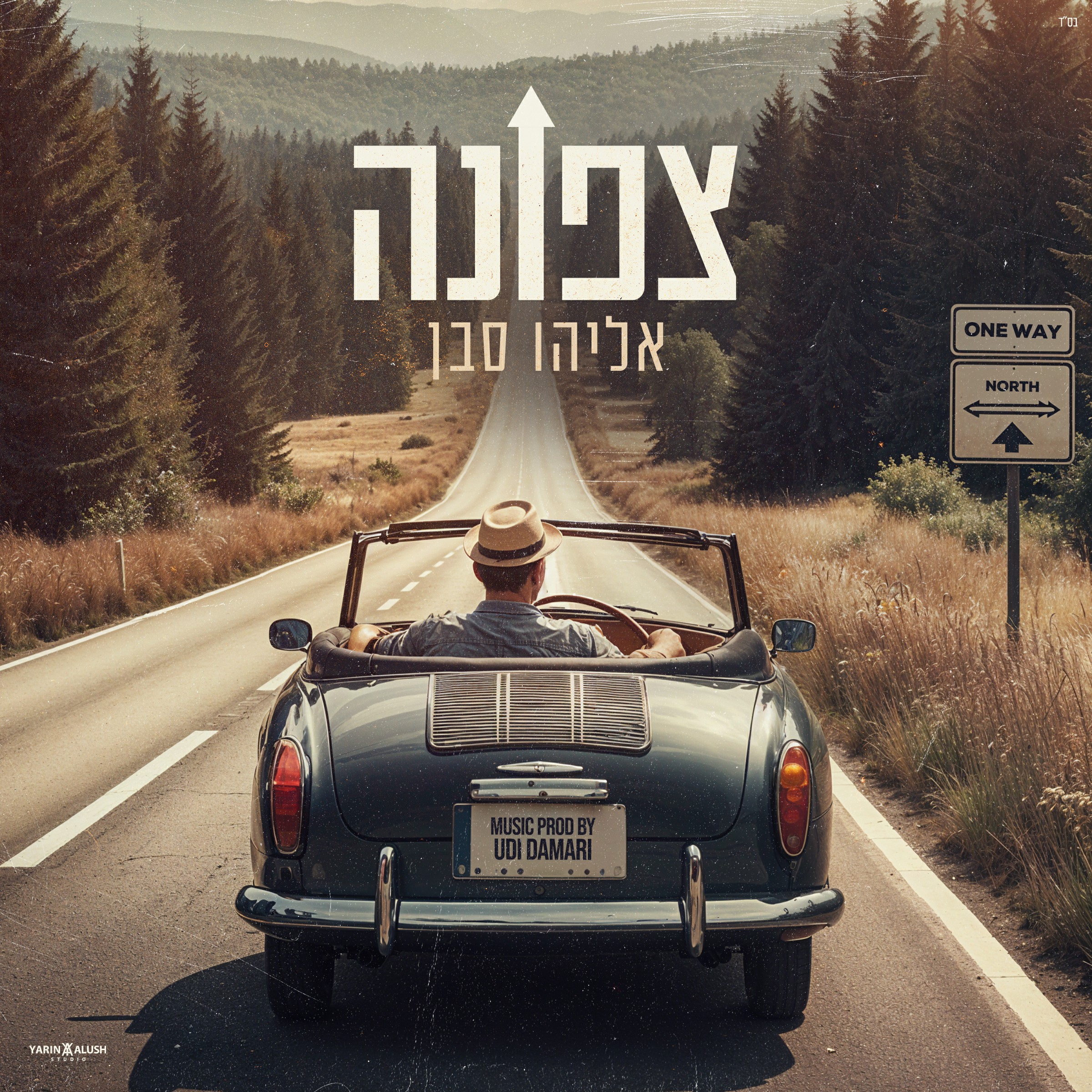 אליהו סבן - צפונה