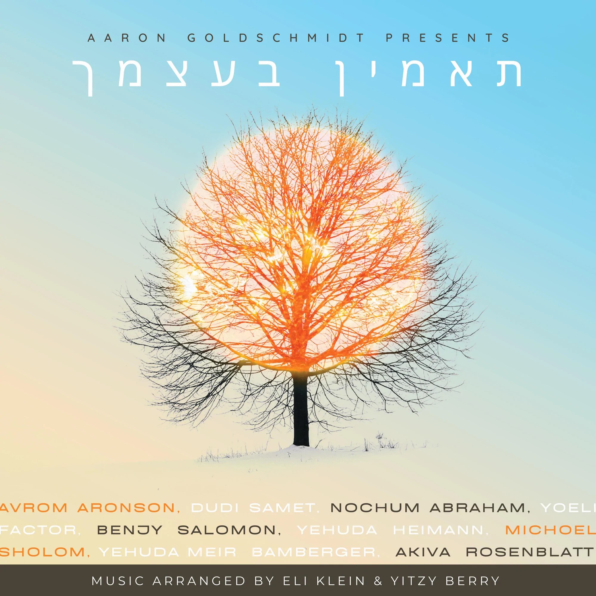 אמנים שונים - תאמין בעצמך