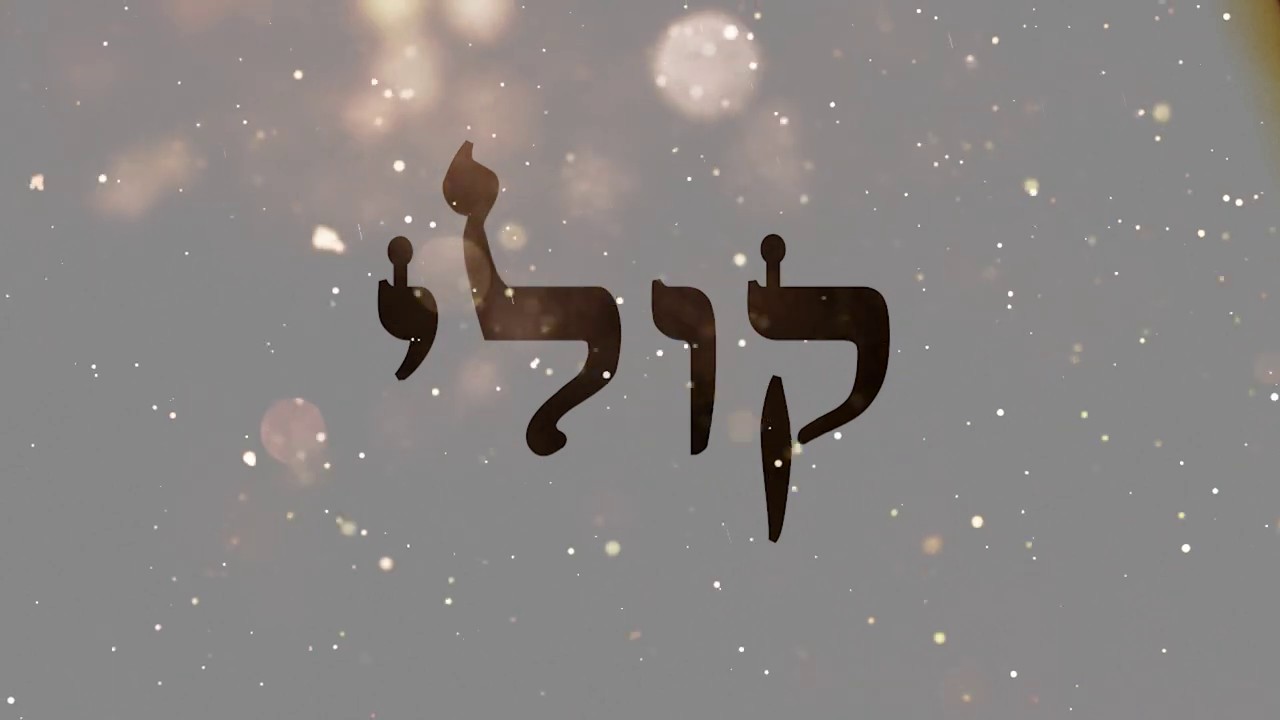 צבי וייס - קולי
