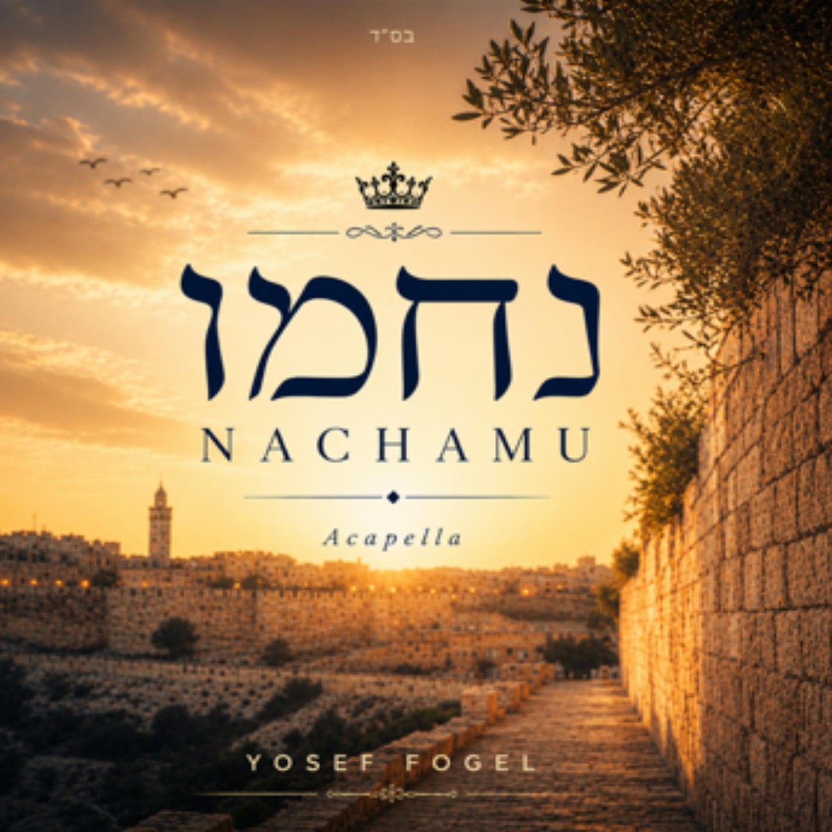 יוסף פוגל - נחמו - ווקאלי