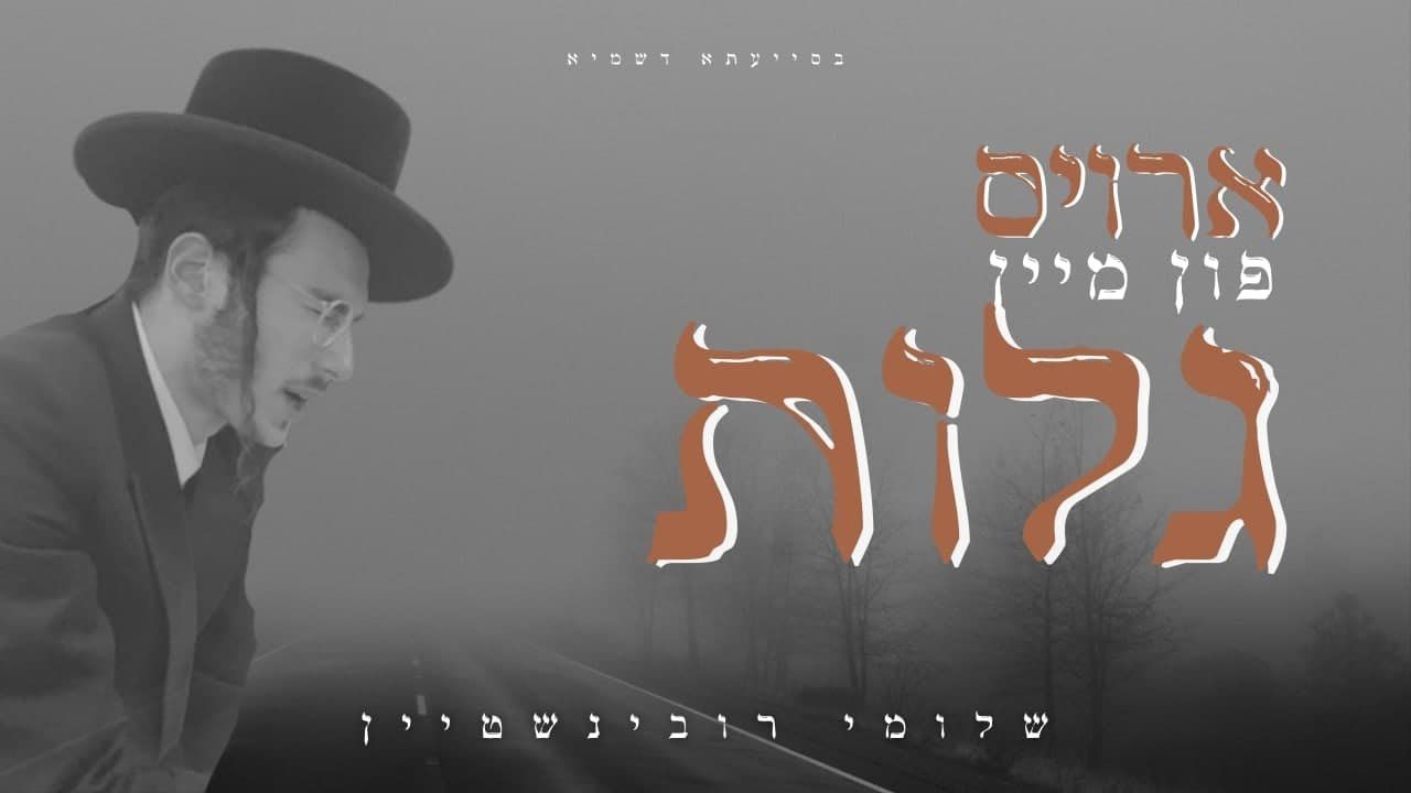 שלומי רובינשטיין - ארויס פון מיין גלות