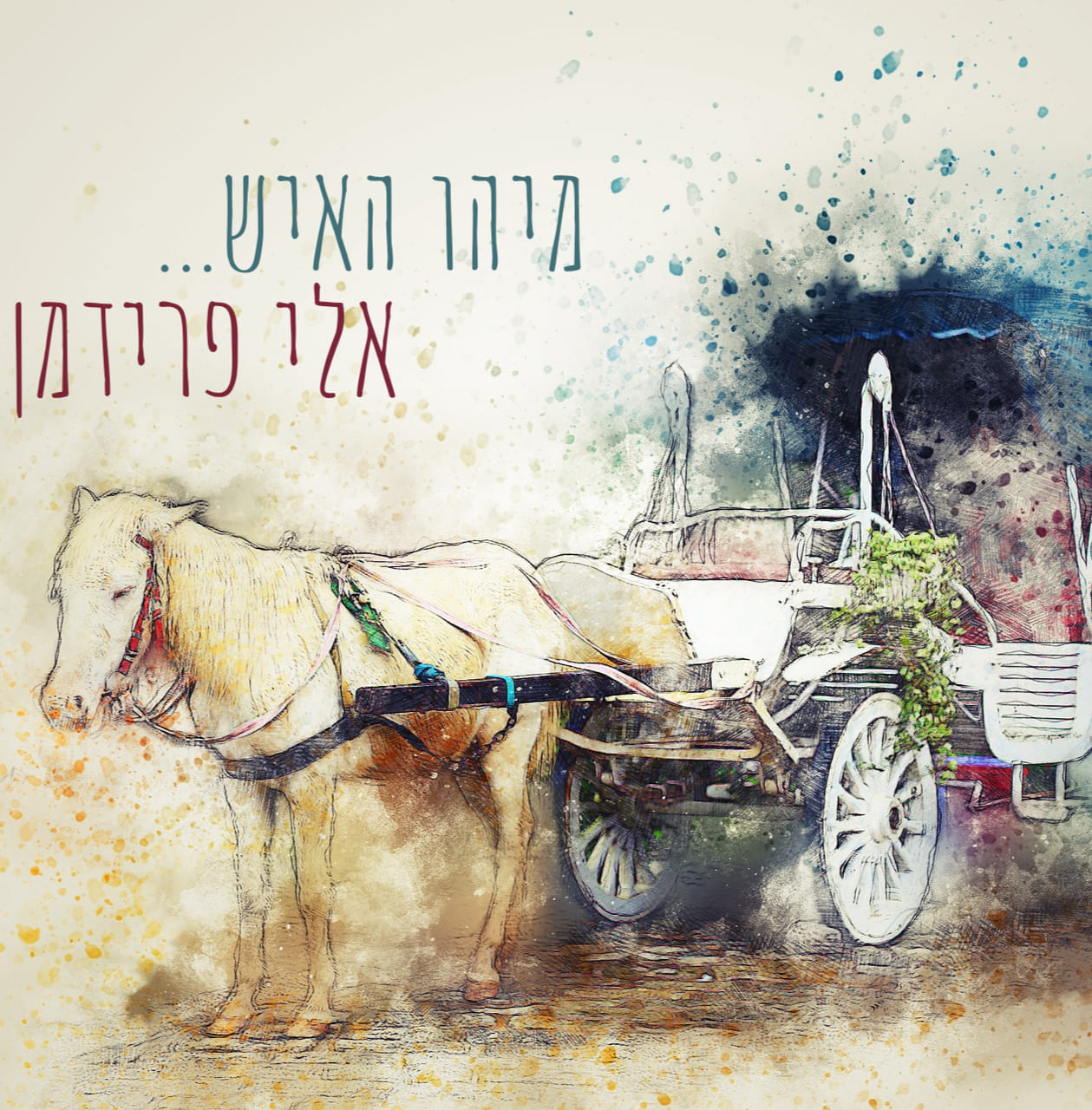 אלי פרידמן - מיהו האיש