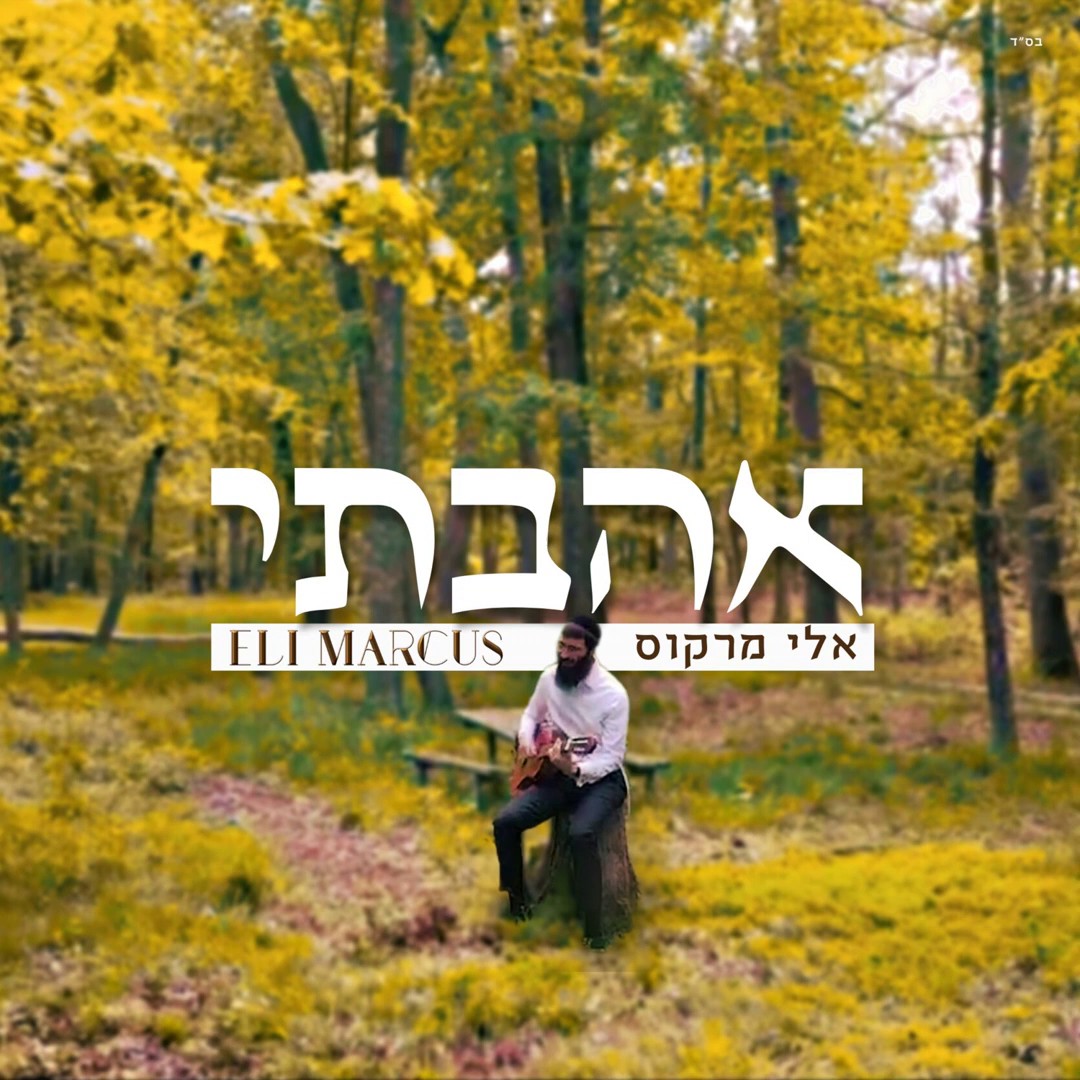 אלי מרקוס - אהבתי