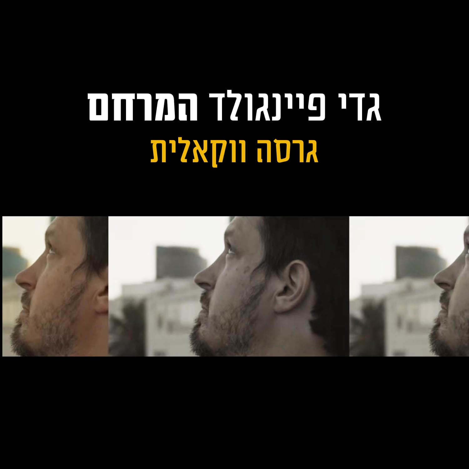 גדי פיינגולד - המרחם