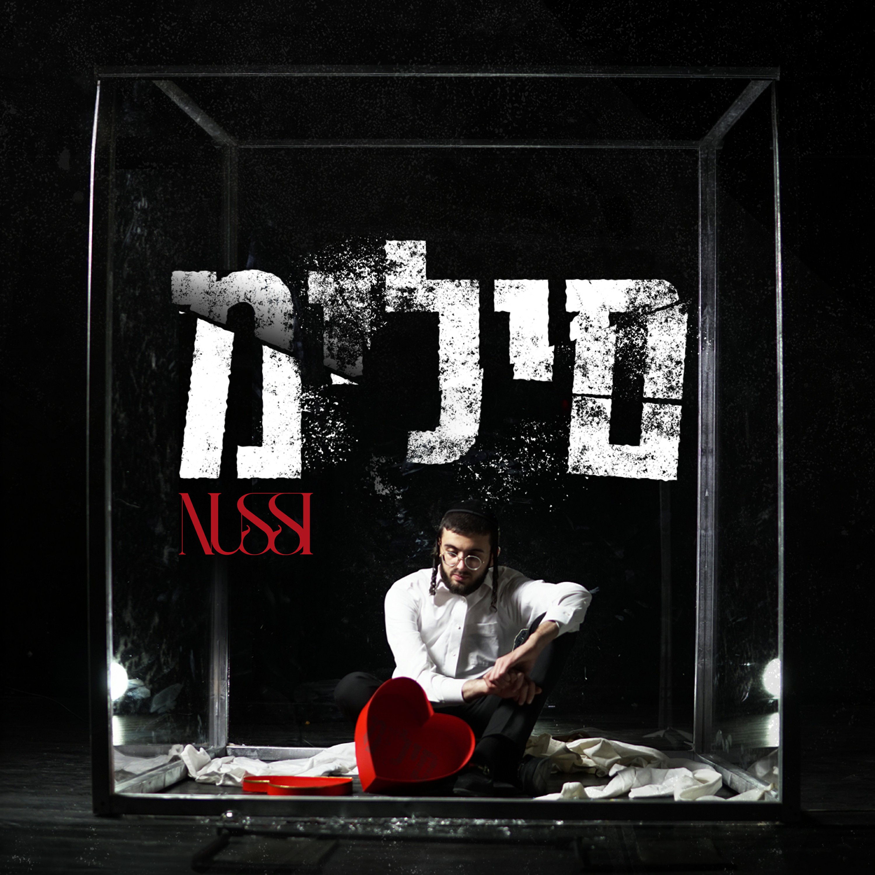נותי ליברמן - םילימ