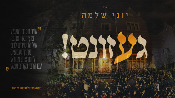 יוני שלמה - געזונט