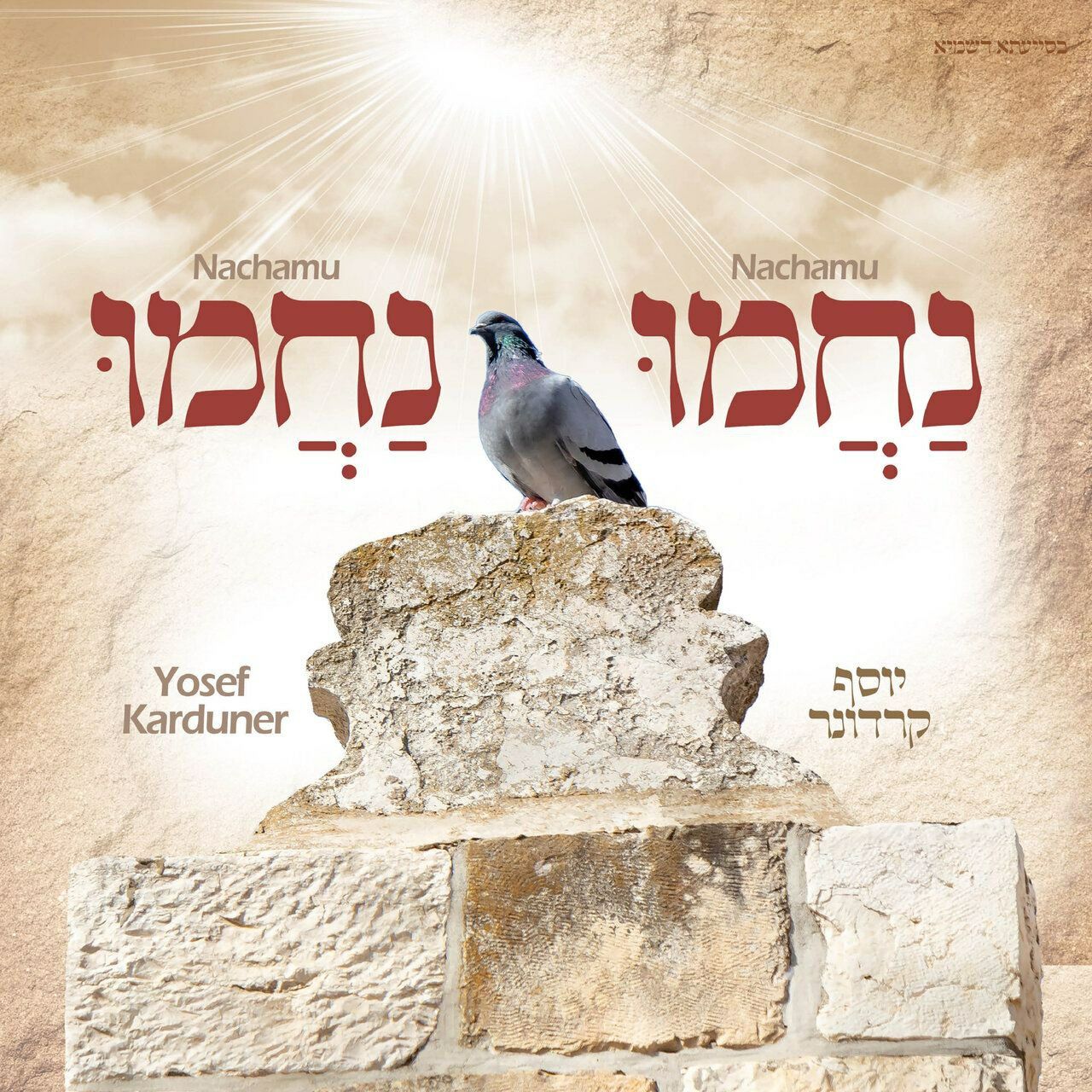 יוסף קרדונר - נחמו נחמו