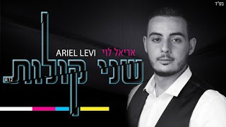 אריאל לוי - שני קולות