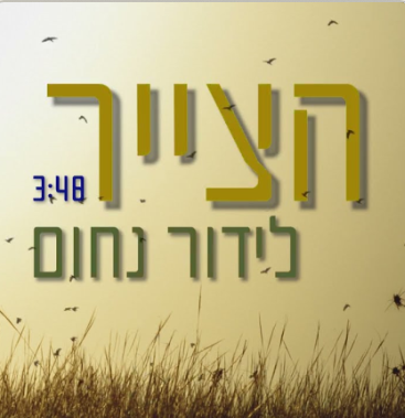 לידור נחום - הצייר (קאבר)
