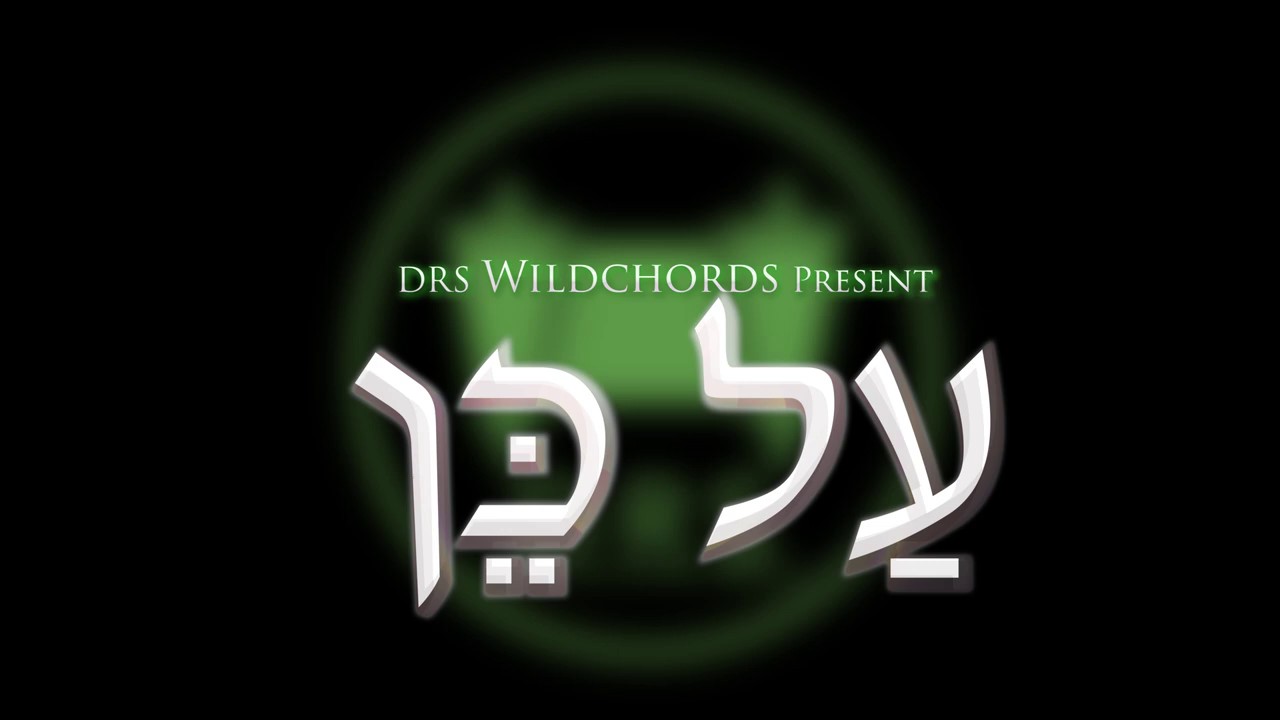 ישיבת DRS - על כן