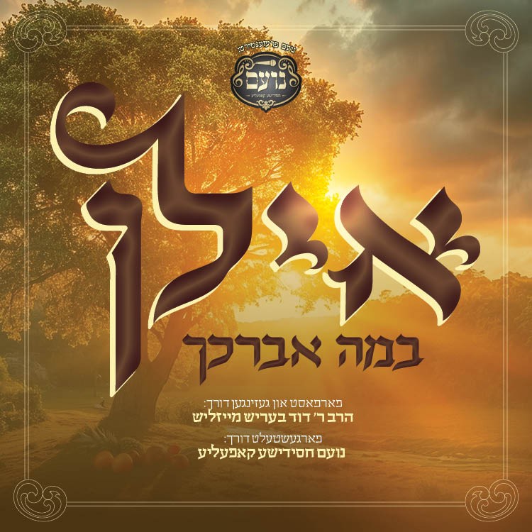 דוד בעריש מייזליש - אילן