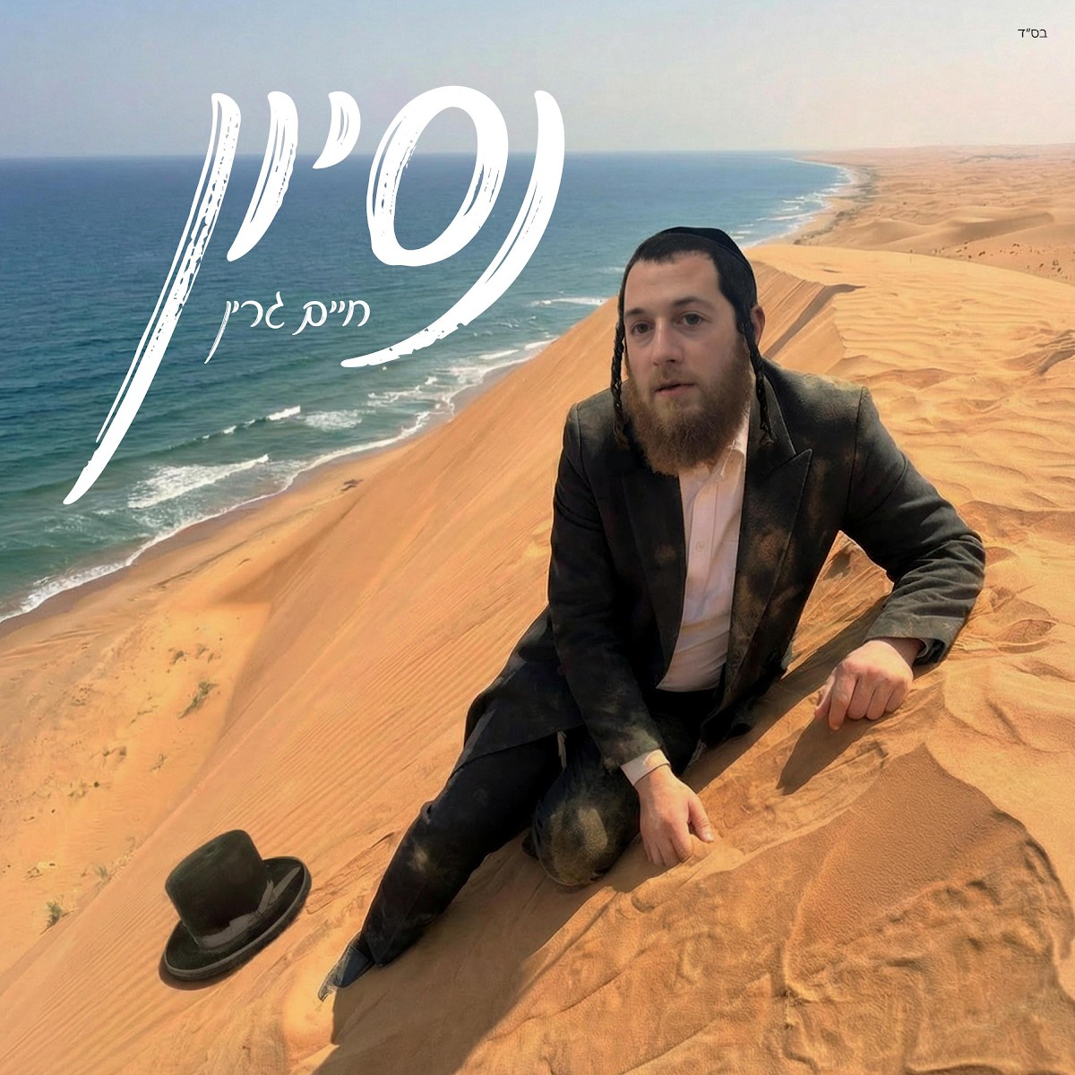 חיים גרין - נסיון