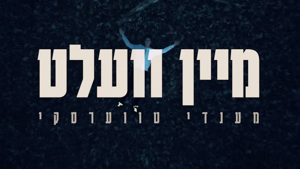 מענדי טווערסקי - מיין וועלט