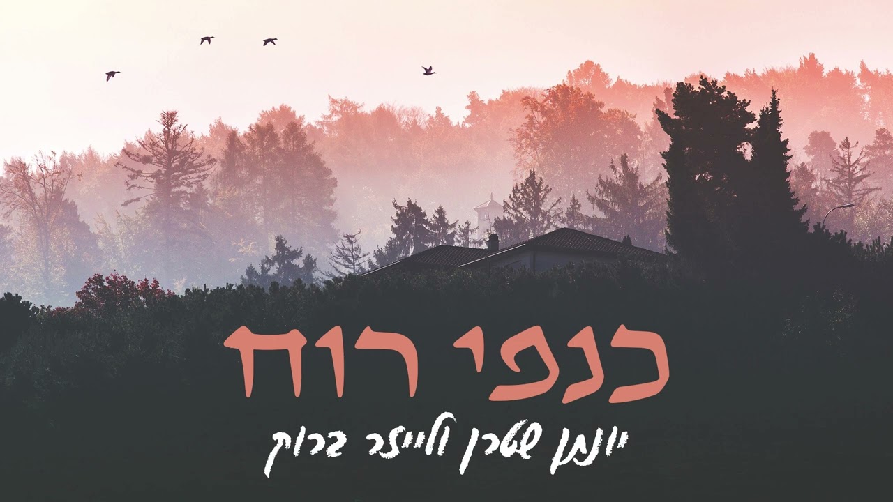 יונתן שטרן ולייזר ברוק - כנפי רוח
