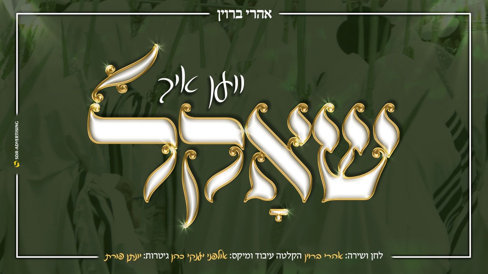 אהרי ברוין - ווען איך שאקל