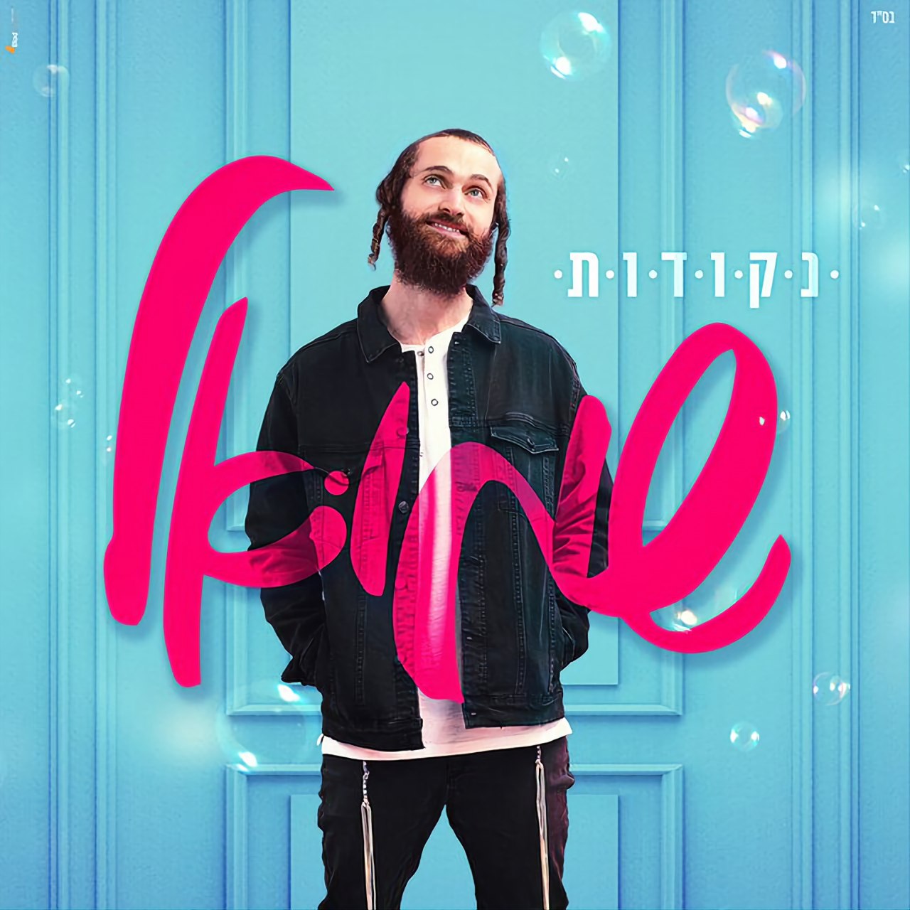 שמואל פרדניק - נקודות