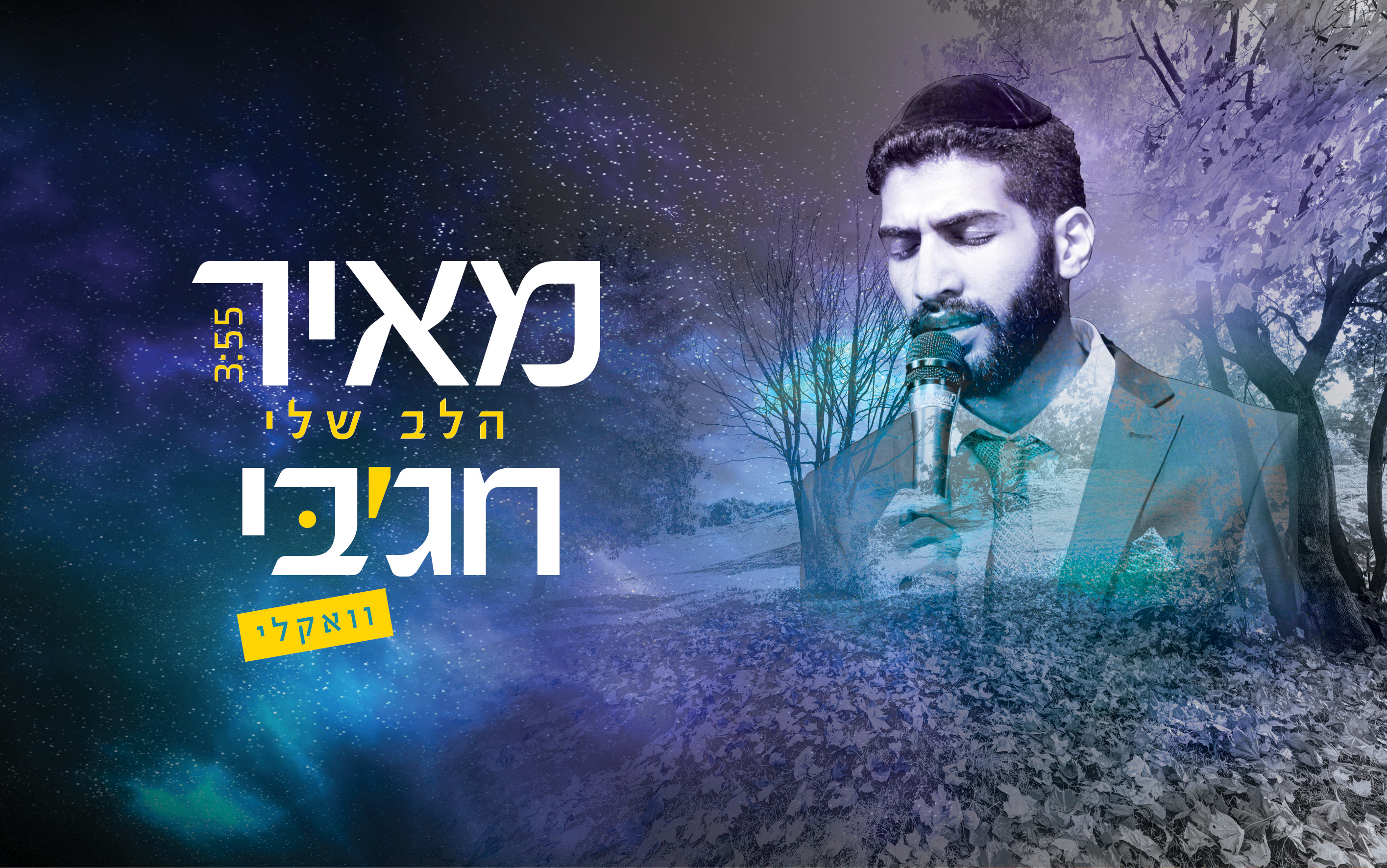 מאיר חג'בי - הלב שלי