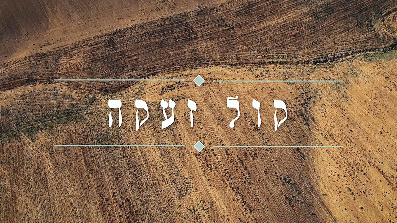 שלמה הלשטוק & רג'ה - קול זעקה