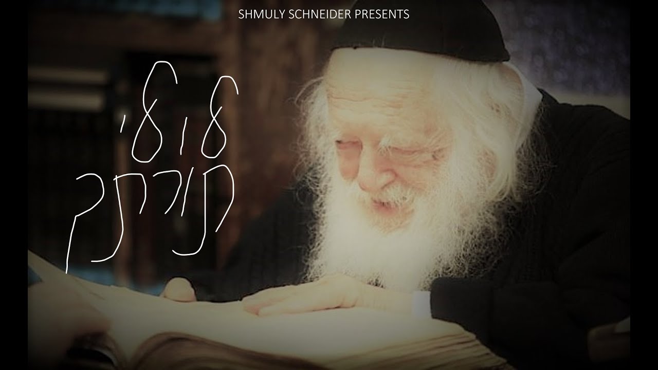שמולי שניידער - לולי תורתך