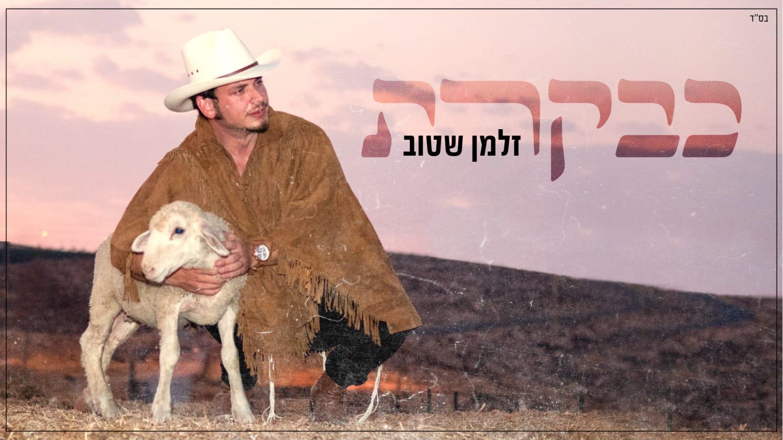 זלמן שטוב - כבקרת