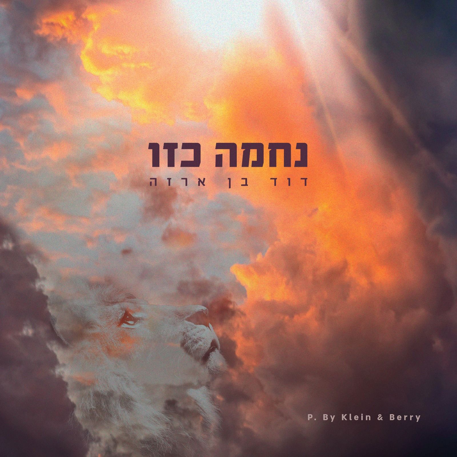 דוד בן ארזה - נחמה כזו