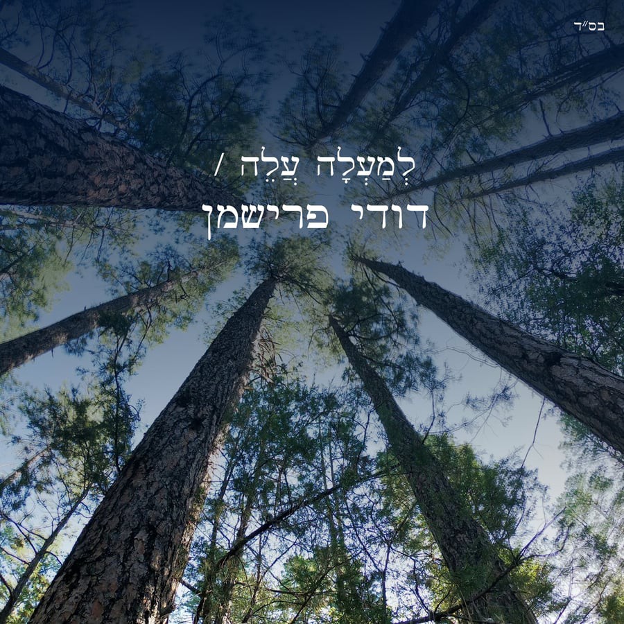 דודי פרישמן - למעלה עלה
