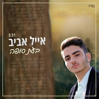 אייל אביב - בעת סופה