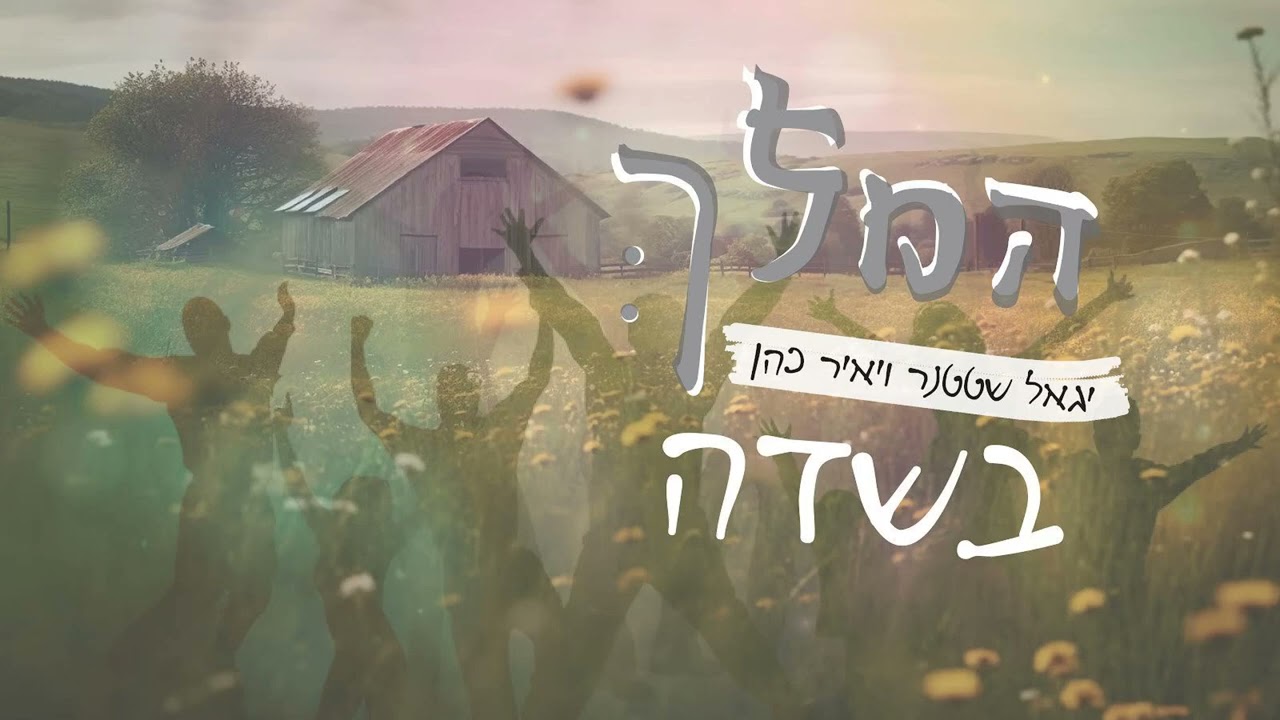 יגאל גשטטנר ויאיר כהן - המלך בשדה
