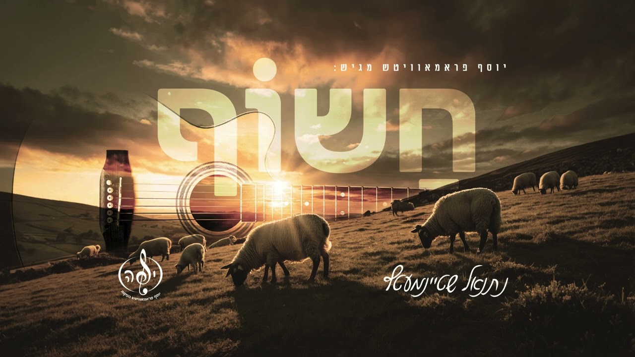 נתנאל שטיינמץ - חשוף