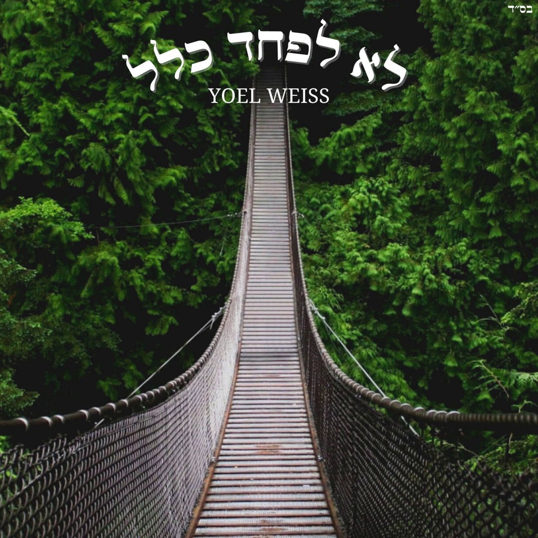 יואל וייס - לא לפחד כלל