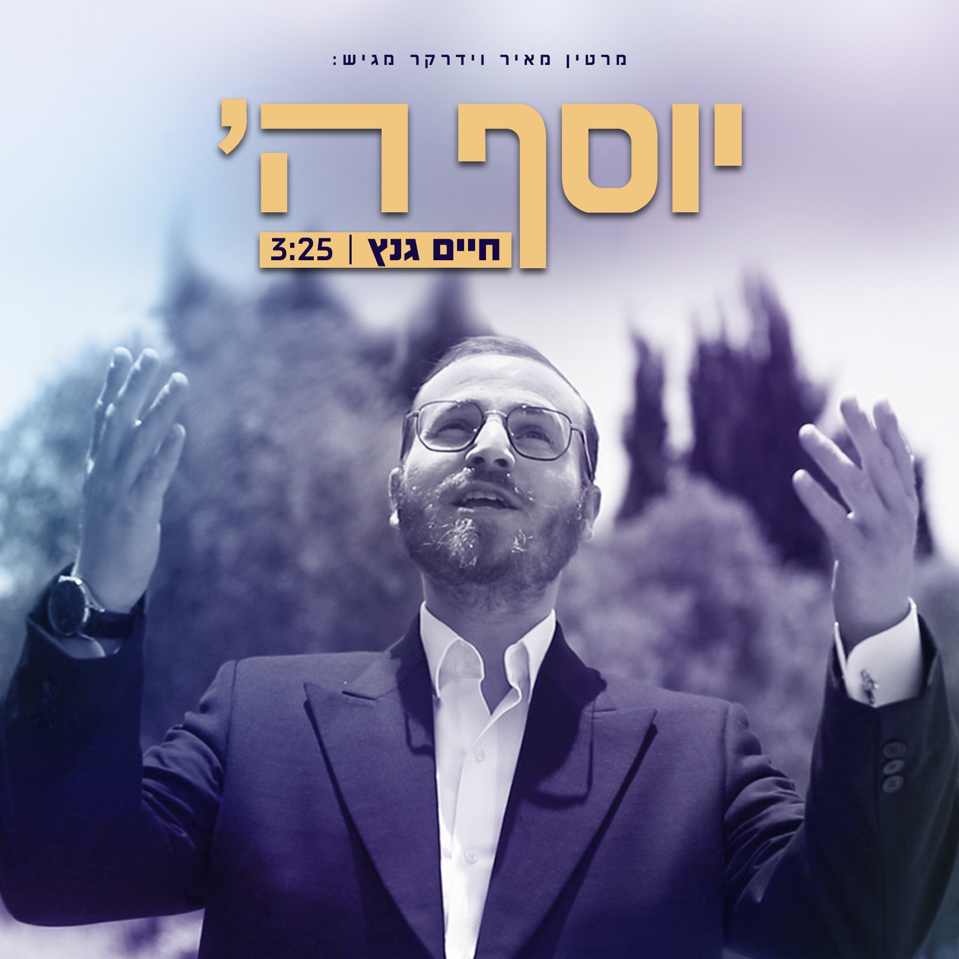 חיים גנץ - יוסף השם עליכם