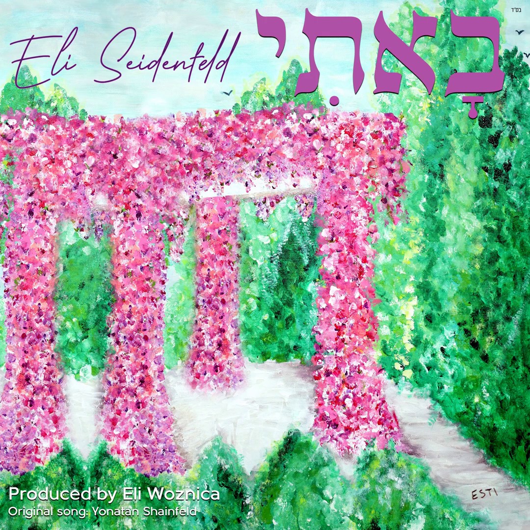 אלי זיידנפלד - באתי